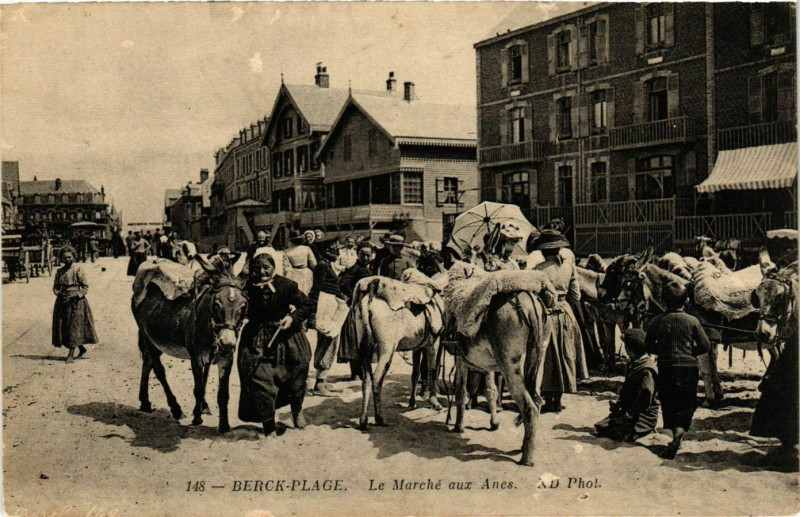 Carte postale ancienne Berck-Plage - Le Marché aux Anes à Berck