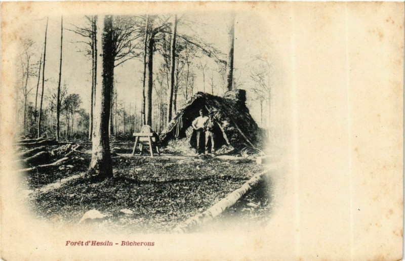 Carte postale ancienne Foret d'Hesdin - Bucherous à Hesdin
