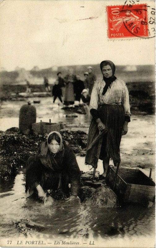 Carte postale ancienne Le Portel - Les Moulieres au Portel