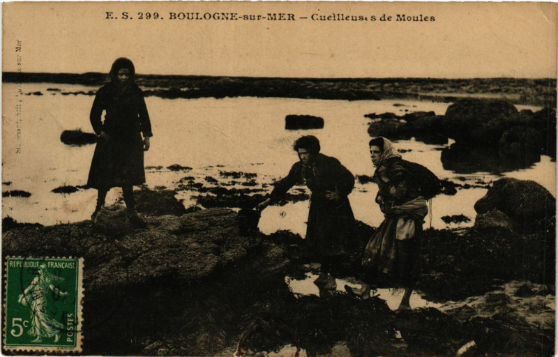 Carte postale ancienne Boulogne-sur-Mer Cueilleuses de Moules à Boulogne-sur-Mer
