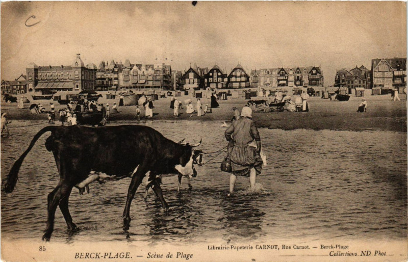 Carte postale ancienne Berck-Plage Scéne de Plage à Berck