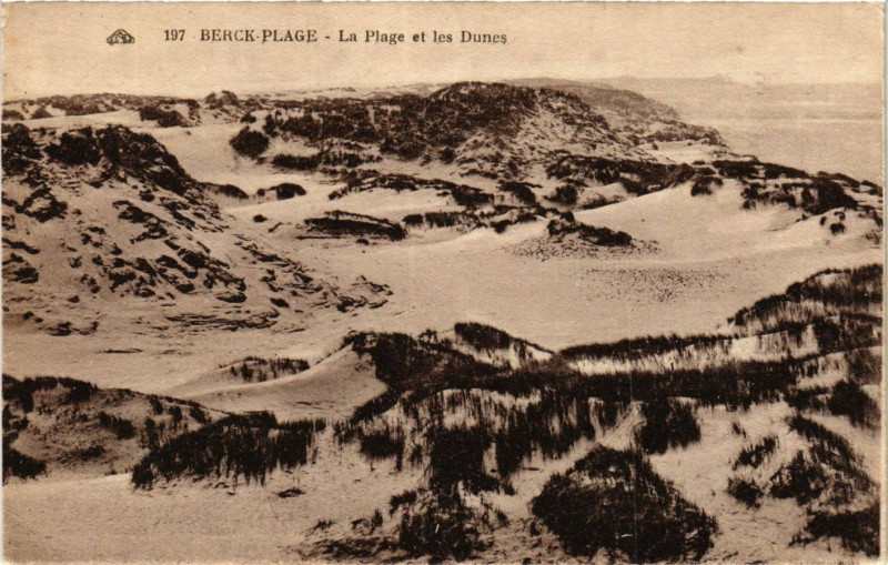 Carte postale ancienne Berck-Plage La Plage et les Dunes à Berck