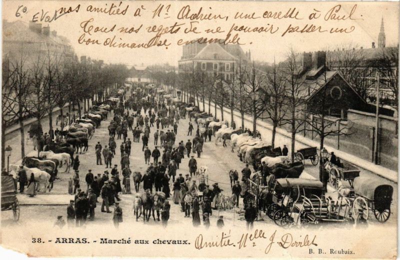 Carte postale ancienne Arras Marché aux chevaux à Arras