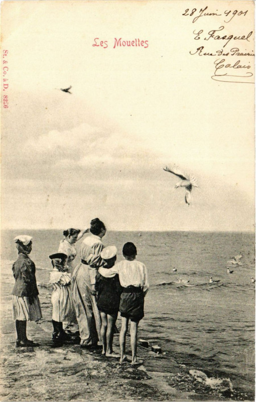Carte postale ancienne Les Mouettes