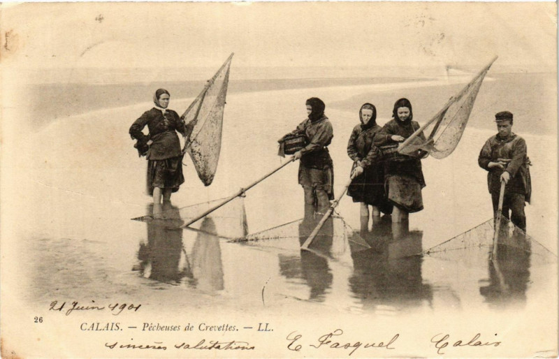 Carte postale ancienne Ed. Ll Calais Pecheuses de Crevettes à Calais