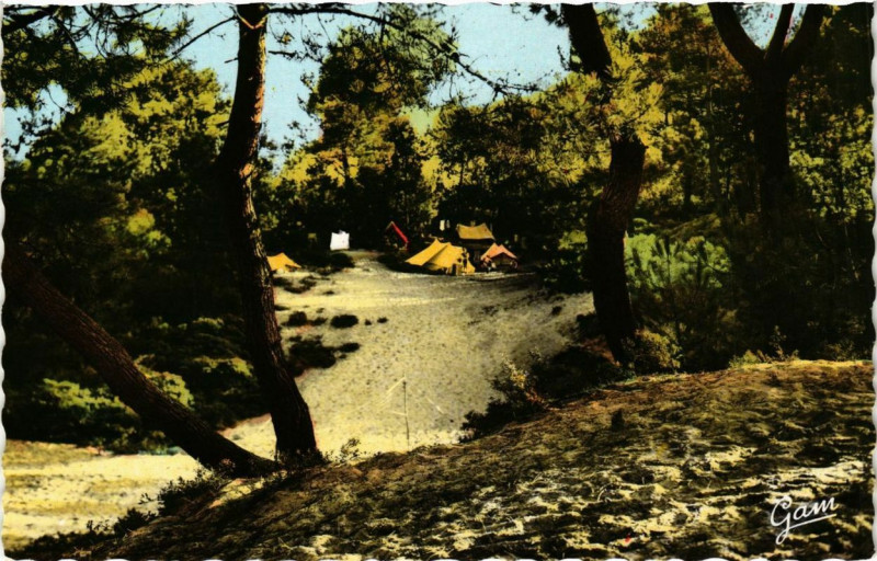 Carte postale ancienne Stella-Plage Un coin des Campeurs en Foret