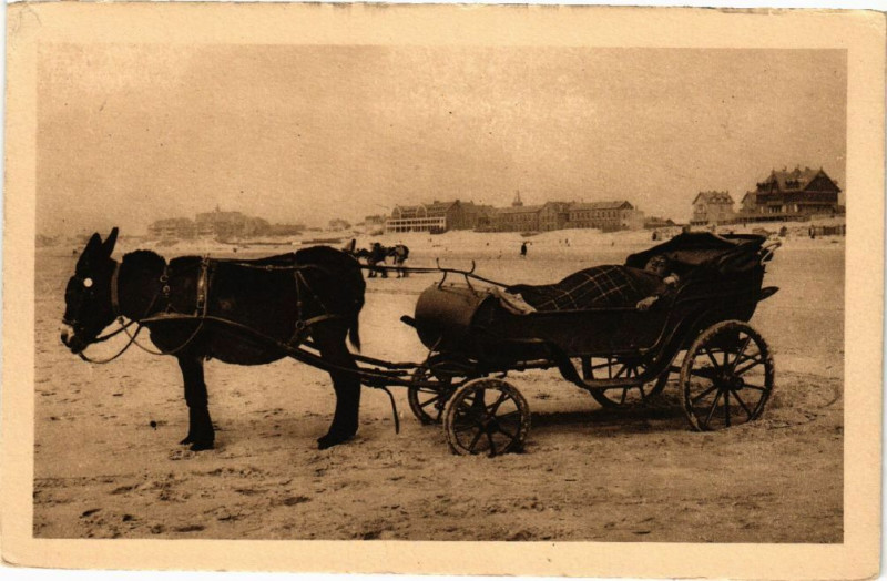 Carte postale ancienne Berck-Plage - Voiture a ane à Berck