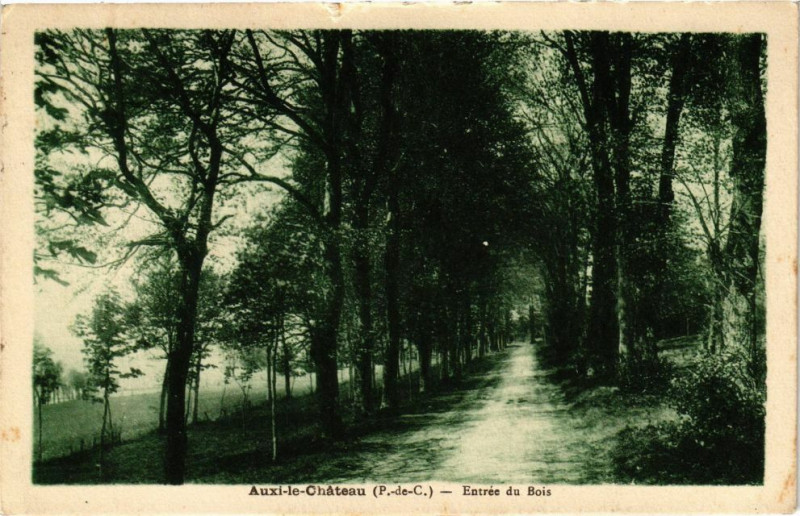 Carte postale ancienne Auxi-le-Chateau - Entrée Du Bois à Auxi-le-Château