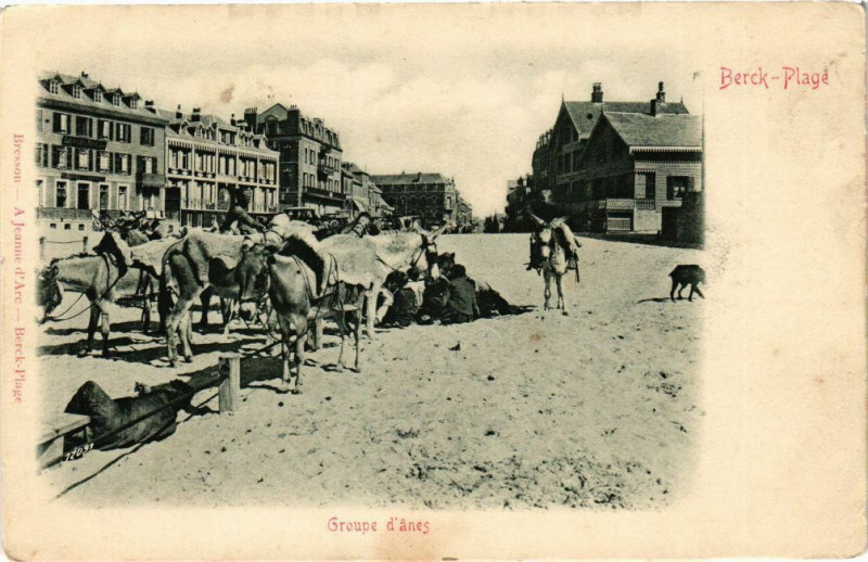 Carte postale ancienne Berck-Plage - Groupe d'anes à Berck