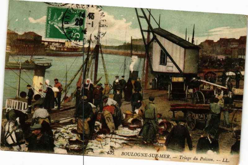 Carte postale ancienne Boulogne-sur-Mer - Triage du Poisson à Boulogne-sur-Mer