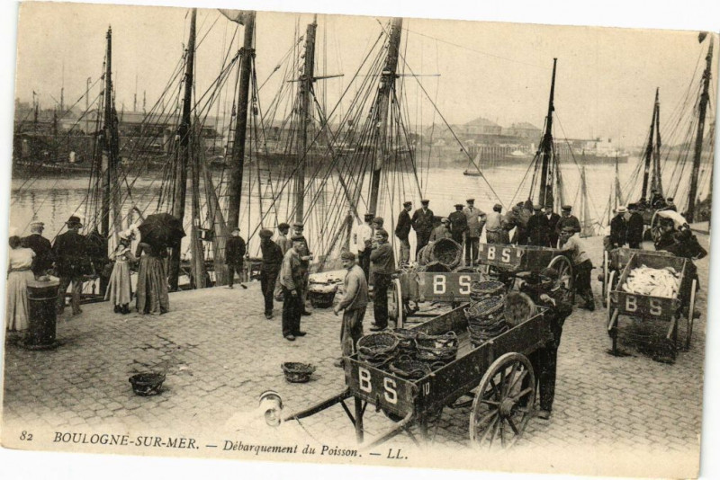 Carte postale ancienne Boulogne-sur-Mer - Débarquement du Poisson à Boulogne-sur-Mer