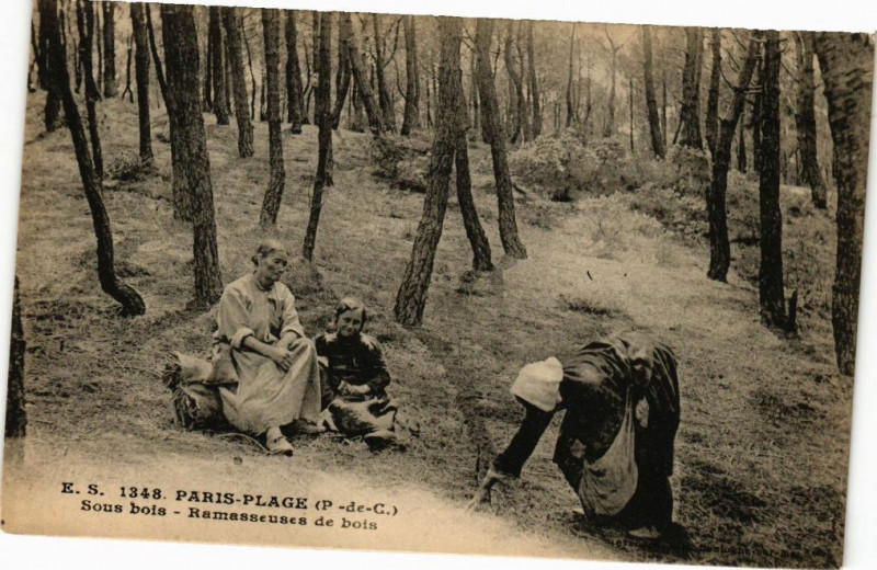 Carte postale ancienne Paris-Plage - Sous bois - Ramasseuses de bois