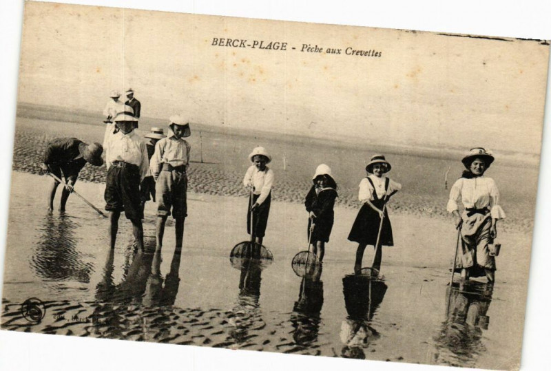 Carte postale ancienne Berck-Plage - Péche aux Crevettes à Berck