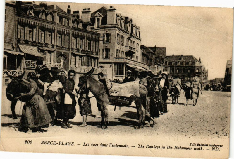 Carte postale ancienne Berck-Plage - Les anes dans l'entonnoir à Berck