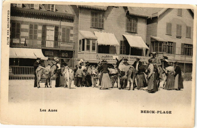 Carte postale ancienne Berck-Plage - Les Anes à Berck