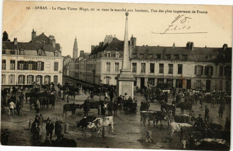 Carte postale ancienne Arras - La Place Victor Hugo ou se tient le marché aux bestiaux... à Arras