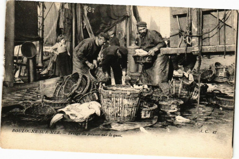 Carte postale ancienne Boulogne-sur-Mer - Triage du poissons sur le quai à Boulogne-sur-Mer