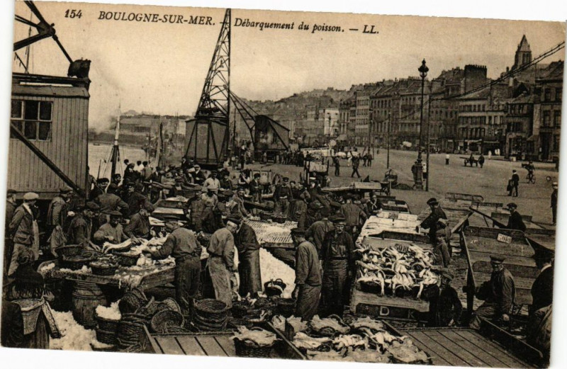 Carte postale ancienne Boulogne-sur-Mer - Debarqument du poisson à Boulogne-sur-Mer