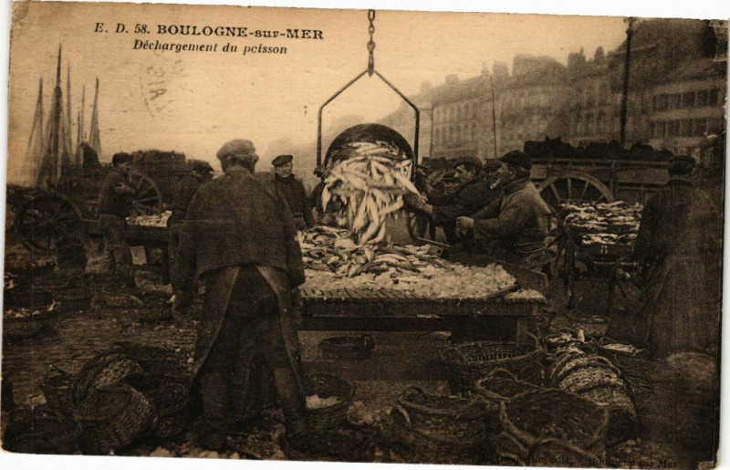Carte postale ancienne Boulogne-sur-Mer - Dechargement du poisson à Boulogne-sur-Mer