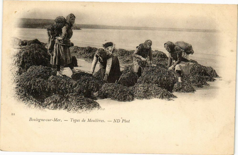 Carte postale ancienne Boulogne-sur-Mer - Types de moulieres à Boulogne-sur-Mer