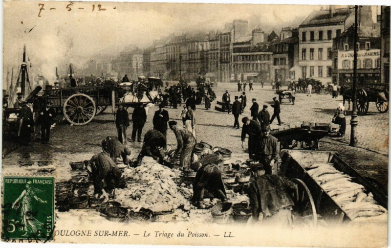 Carte postale ancienne Boulogne-sur-Mer - Le triage du poisson à Boulogne-sur-Mer