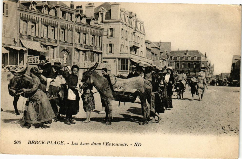 Carte postale ancienne Berck-Plage - Les Anes dans l'Entonnoir à Berck