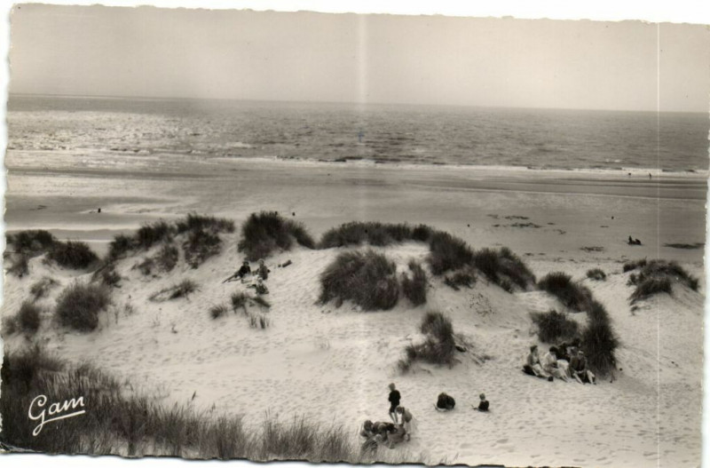Carte postale ancienne Sainte-Célile-Plage un Aspect des Dunes bordant...