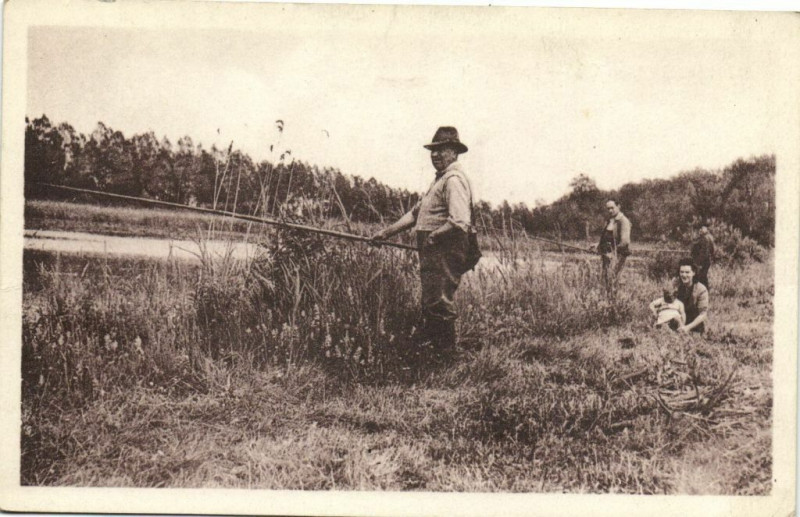 Carte postale ancienne Dominois - Les Etangs
