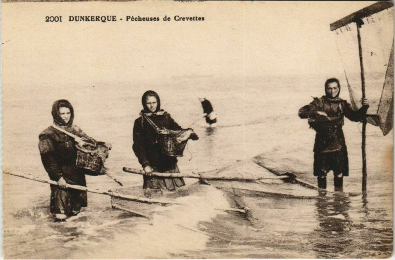 Carte postale ancienne Dunkerque - Pecheurs de Crevettes à Dunkerque