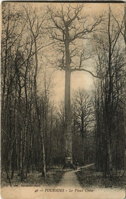 Carte postale ancienne Fourmies - Le Vieux Chene à Fourmies
