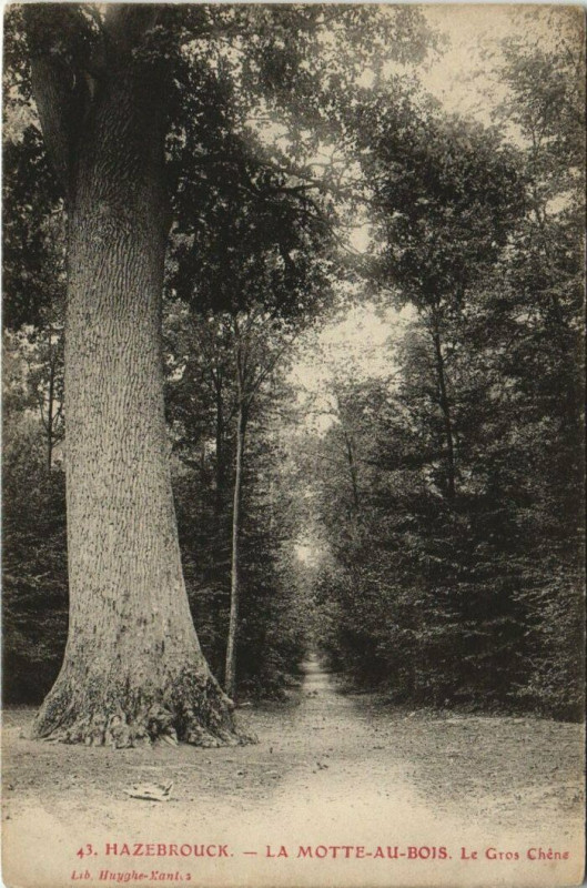Carte postale ancienne Hazebrouck - La Motte au Bois à Hazebrouck