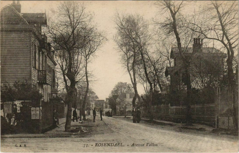 Carte postale ancienne Rosendael - Avenue Vallou
