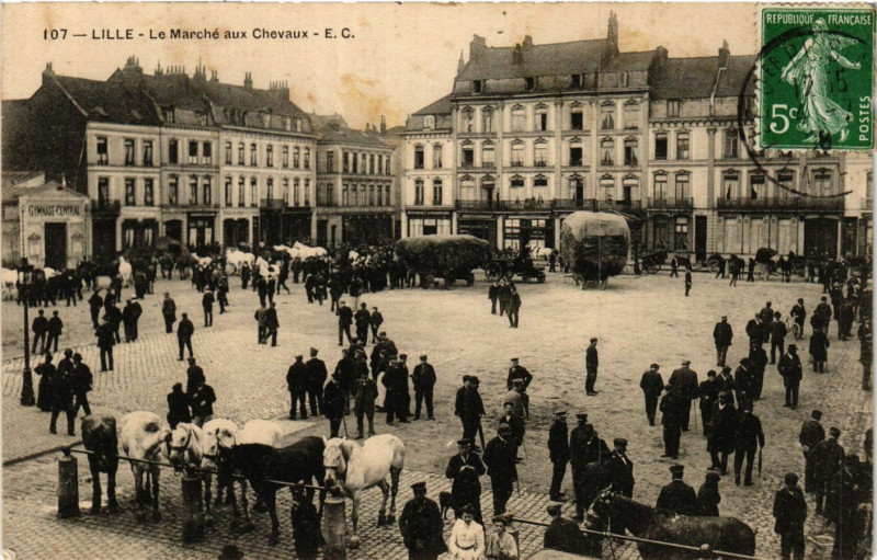 Carte postale ancienne Lille - Le Marche aux Chevaux à Lille