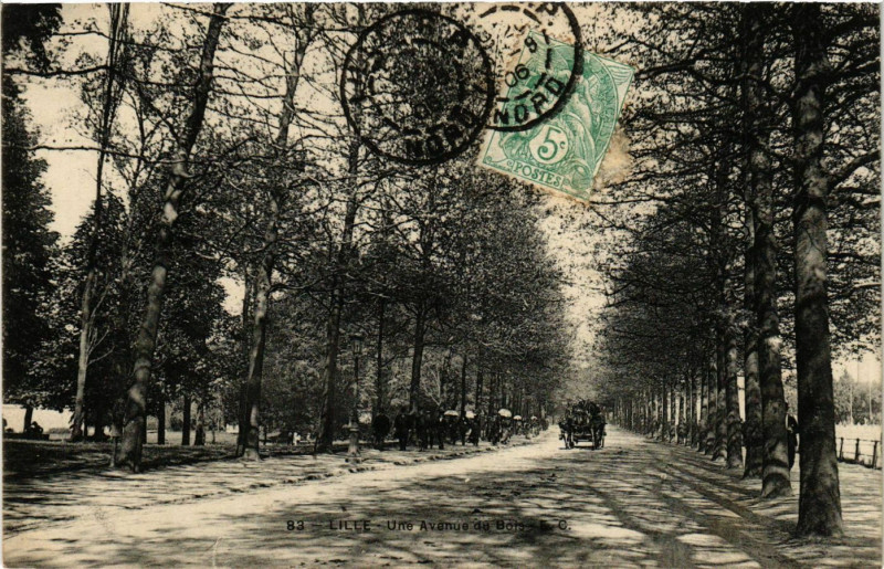 Carte postale ancienne Lille - Une Avenue du Bois à Lille