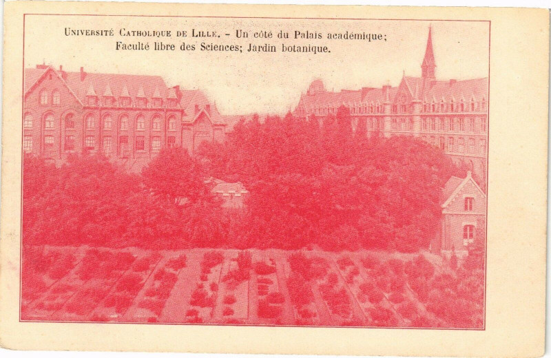 Carte postale ancienne Universite catholique de Lille - Un cote du palais à Lille