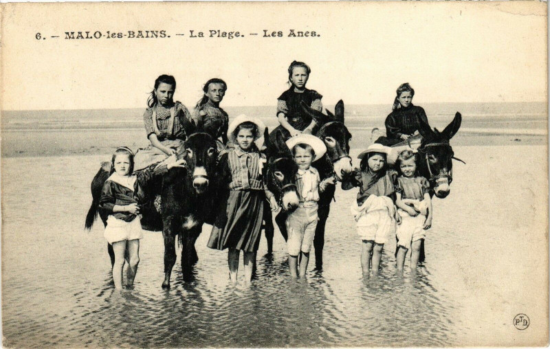 Carte postale ancienne Malo-les-Bains - La Plage - Les anes