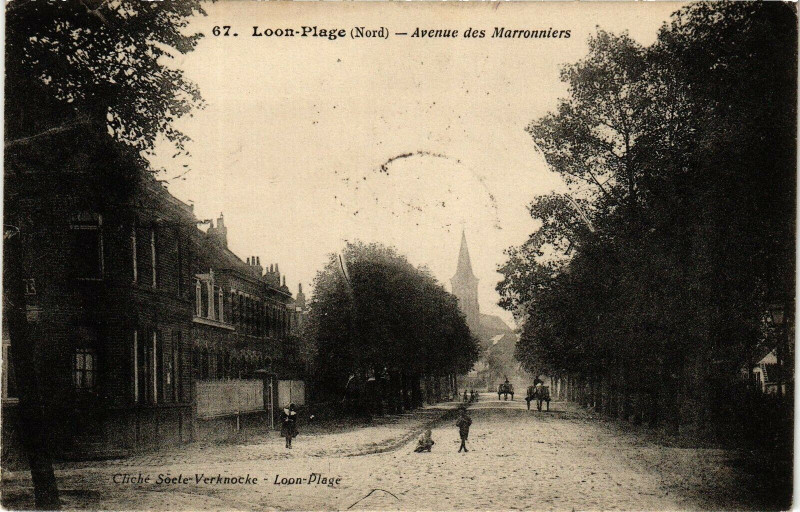 Carte postale ancienne Loon - Plage - Avenue des marronniers à Loon-Plage