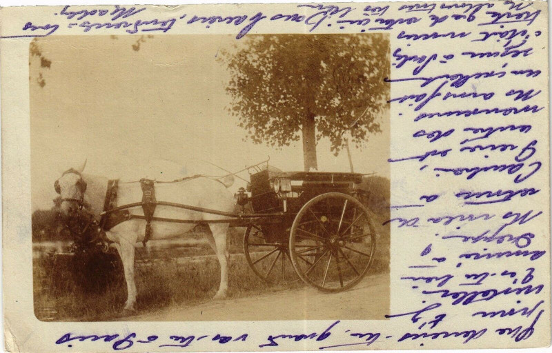 Carte postale ancienne Cheval et la Carette
