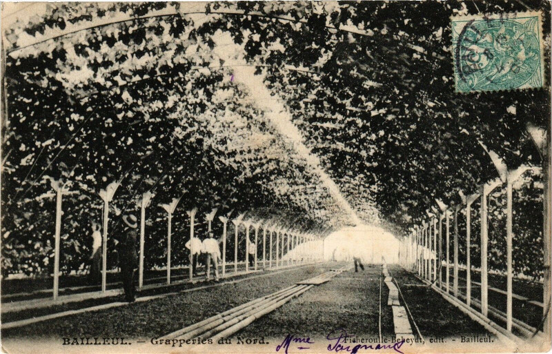 Carte postale ancienne Bailleul Grapperies du Nord à Bailleul
