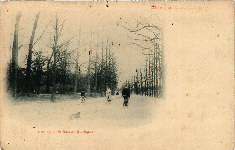 Carte postale ancienne Lille le Une Allée du Bois e Boulogne à Lille