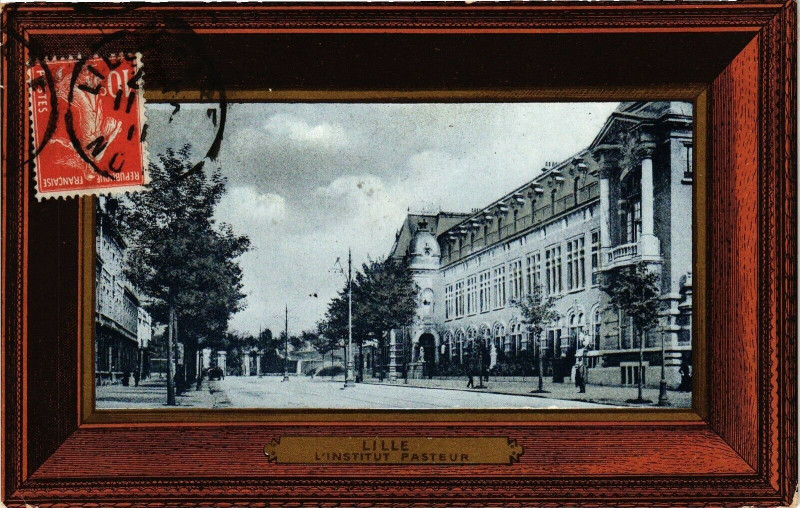 Carte postale ancienne Lille - L'Institut Pasteur à Lille