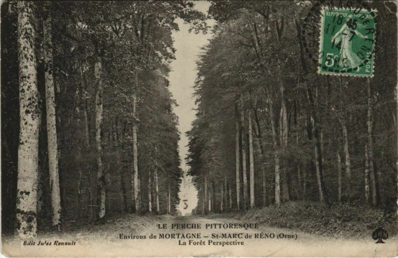 Carte postale ancienne Saint-Marc-de-Reno La Foret Perspective à Sai