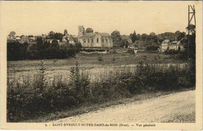 Carte postale ancienne Saint-Evroult Notre Dame du Bois Vue Generale à Sai