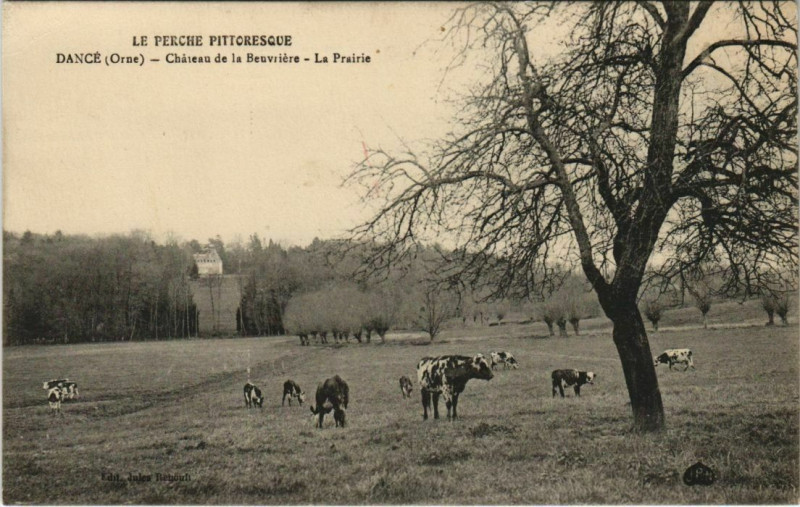 Carte postale ancienne Dance Chateau de la Beuviere