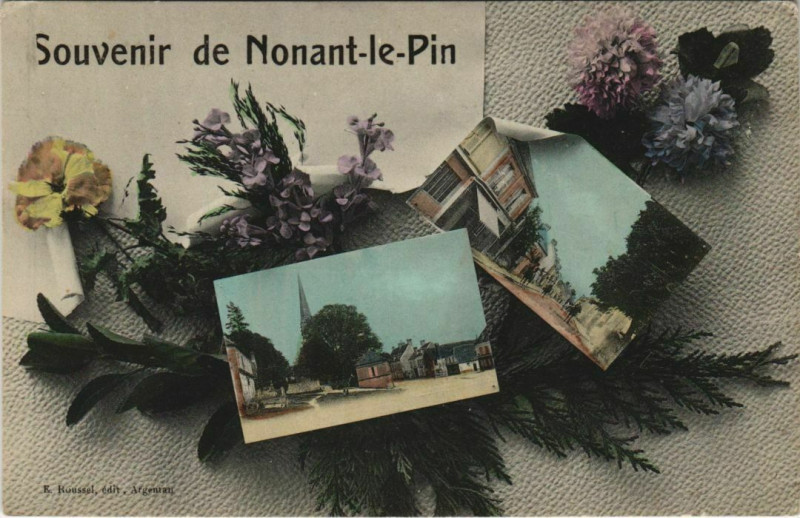 Carte postale ancienne Souvenir de Nonant-le-Pin à Nonant-le-Pin