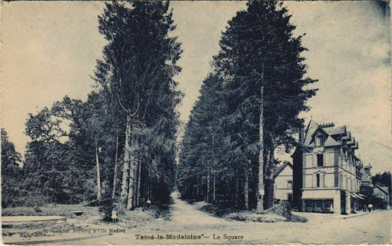 Carte postale ancienne Tesse-la-Madeleine Le Square