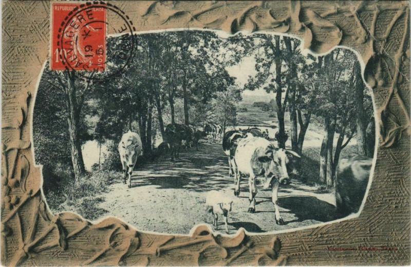 Carte postale ancienne Souvenir France