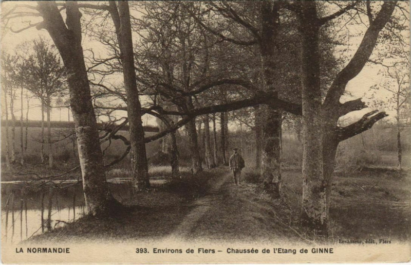 Carte postale ancienne Env.de Flers Chaussee de l'Etang de Ginne France à Flers
