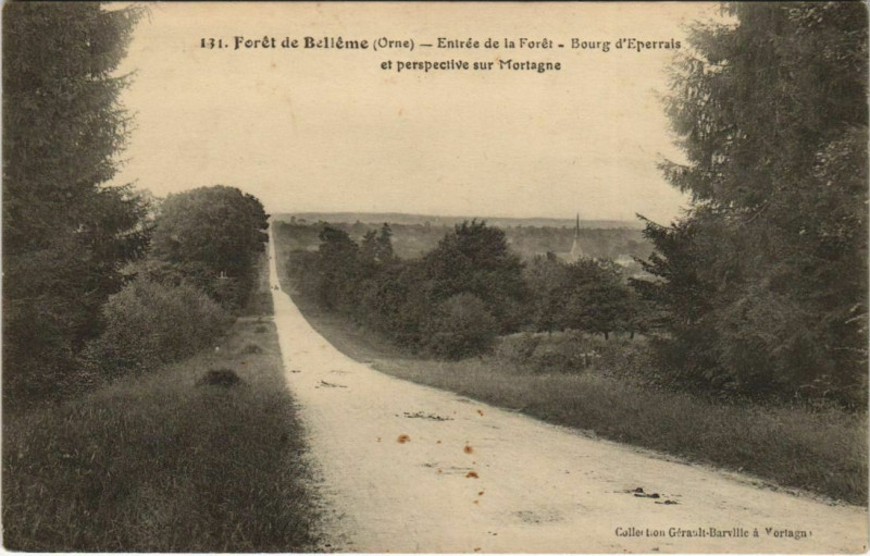 Carte postale ancienne Foret de Belleme Entree de la Foret France à Bellême