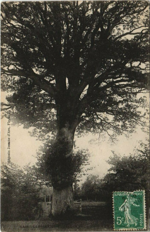Carte postale ancienne Saint-Georges de Rolelly à Sai